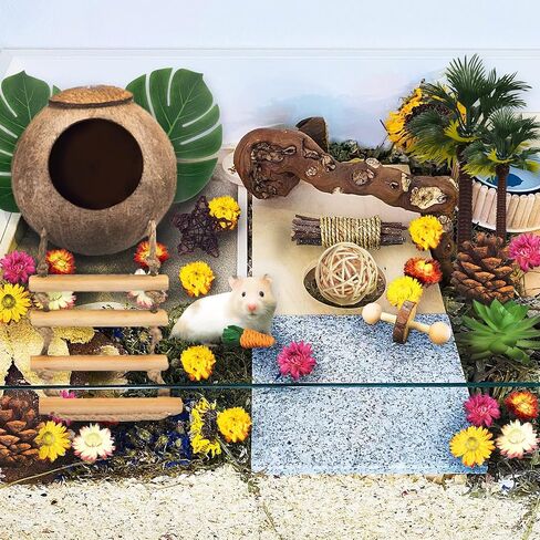 الهامستر مضغ اللعب مجموعة ألعاب الهامستر الخشبية الطبيعية جوز الهند الهامستر البيت النباتات الاصطناعية الزهور المجففة الأسنان ألعاب الحيوانات الصغيرة قفص المناظر الطبيعية لشنشيلاس غينيا الخنازير الحيوانات الأليفة الفئران (نمط 01) in Kuwait