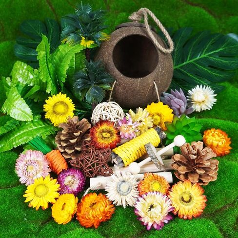 الهامستر مضغ اللعب مجموعة ألعاب الهامستر الخشبية الطبيعية جوز الهند الهامستر البيت النباتات الاصطناعية الزهور المجففة الأسنان ألعاب الحيوانات الصغيرة قفص المناظر الطبيعية لشنشيلاس غينيا الخنازير الحيوانات الأليفة الفئران (نمط 01) in Kuwait