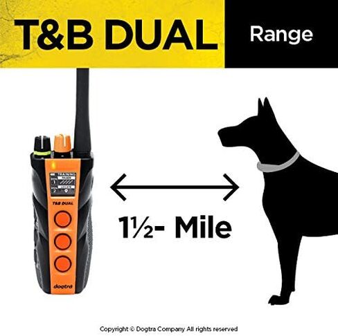 Dogtra T&B ثنائي الطلب للكلاب للتدريب عن بعد وطوق الصافرة - مدى 1.5 ميل، صيد رياضي في المرتفعات، مقاوم للماء بالكامل، قابل لإعادة الشحن، ثابت، تحديد الموقع - يتضمن جهاز تدريب PetsTEK in Saudi Arabia