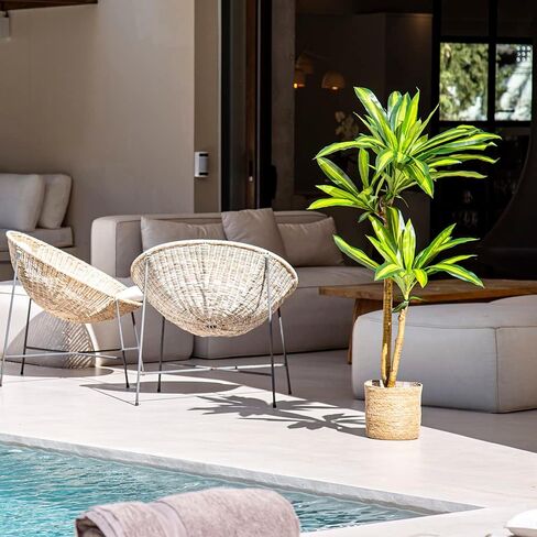 شجرة دراسينا الاصطناعية من Maia Shop، مصنوعة من أفضل المواد، مثالية لتزيين المنزل، نبات صناعي (47 ​​بوصة) in Kuwait