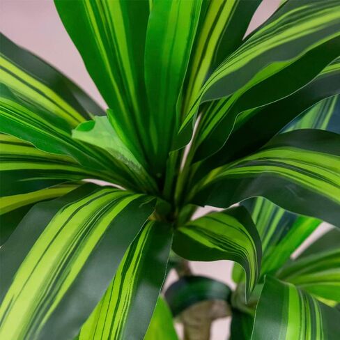 شجرة دراسينا الاصطناعية من Maia Shop، مصنوعة من أفضل المواد، مثالية لتزيين المنزل، نبات صناعي (47 ​​بوصة) in Kuwait