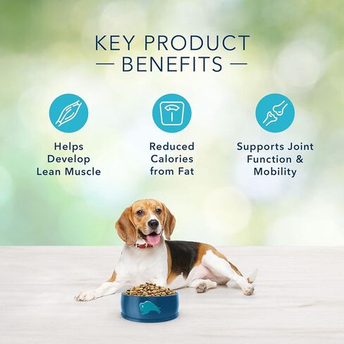 Blue Buffalo Freedom Grain Free Recipe for Dog, Healthy Weight Chicken Recipe, 4 lb in Kuwait