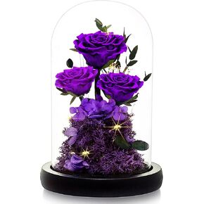 DENIMOMO Valentines Day Rose Flowers Gifts for Her,Forever Preserved Roses in Glass Dome, Anniversary Birthday Real Roses Gifts for Women Wife Mom Girlfrien/Purple