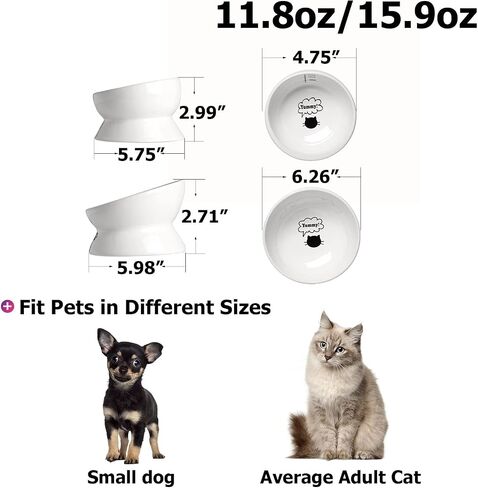 Y YHY Cat Food Bowls, Elevated Tilted for Food and Water, 2 Raised Cat Bowls Set with Tick Marks, for Flat-Faced Cats and Small Dogs - 12/16 OZ Ceramic in Saudi Arabia