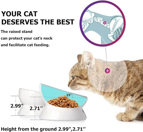 Y YHY Cat Food Bowls, Elevated Tilted for Food and Water, 2 Raised Cat Bowls Set with Tick Marks, for Flat-Faced Cats and Small Dogs - 12/16 OZ Ceramic in Saudi Arabia