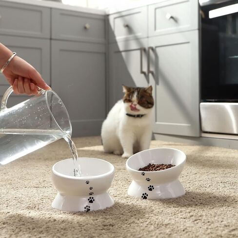 Y YHY Cat Food Bowls, Elevated Tilted for Food and Water, 2 Raised Cat Bowls Set with Tick Marks, for Flat-Faced Cats and Small Dogs - 12/16 OZ Ceramic in Saudi Arabia