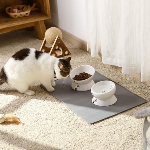 Y YHY Cat Food Bowls, Elevated Tilted for Food and Water, 2 Raised Cat Bowls Set with Tick Marks, for Flat-Faced Cats and Small Dogs - 12/16 OZ Ceramic in Saudi Arabia