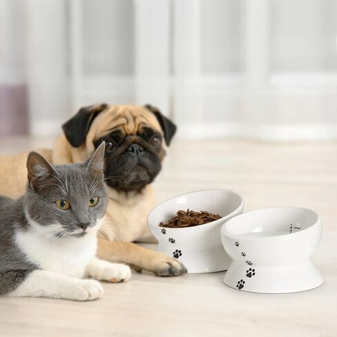 Y YHY Cat Food Bowls, Elevated Tilted for Food and Water, 2 Raised Cat Bowls Set with Tick Marks, for Flat-Faced Cats and Small Dogs - 12/16 OZ Ceramic in Saudi Arabia