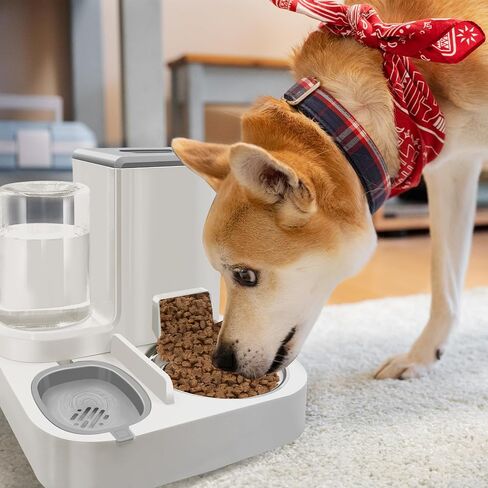 MEETSTARS Automatic Dog Cat Feeders Water Bowls Large Capacity 1 L with Food Container Large Capacity 2.2L,Indoor Portable Water Dispenser for Other Pets for Small Medium Pets (Grey) in Saudi Arabia