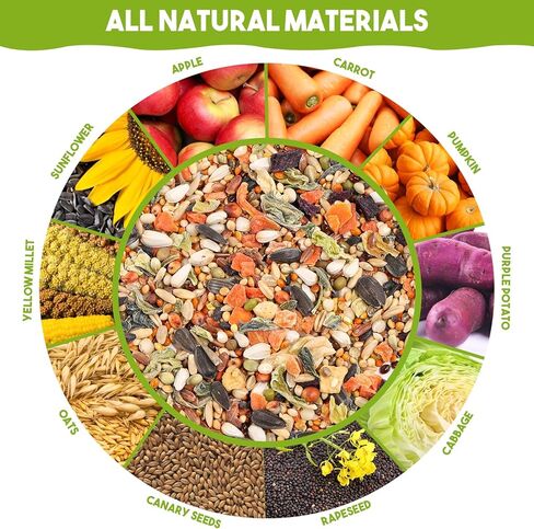 طعام الببغاء الطبيعي من أبيزو، مزيج من بذور الببغاء والخضار والفواكه والمكسرات، مزيج من حبيبات طعام الطيور، يعامل جرة لببغاء فينش، حمامة، كوكاتيل، ماكاو، كونور، طيور الحب، الطيور البرية للمغذيات الخارجية، الوجبات الخفيفة in Kuwait