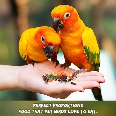 طعام الببغاء الطبيعي من أبيزو، مزيج من بذور الببغاء والخضار والفواكه والمكسرات، مزيج من حبيبات طعام الطيور، يعامل جرة لببغاء فينش، حمامة، كوكاتيل، ماكاو، كونور، طيور الحب، الطيور البرية للمغذيات الخارجية، الوجبات الخفيفة in Kuwait