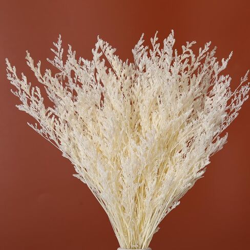 Dried Flowers Bouquet, Dry Caspia Flower Bundle, Floral Lavender, Babys Breath Artificial Flowers Arrangements for Wedding Decor, Door Wreath, Home Party Table Vase Decoration (White, 17'') in Kuwait