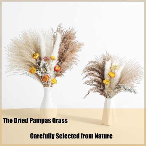 ZFDEBY 110 Pcs Dried Pampas Grass Natural Floral Decor Plants for Home Decor Flowers Bouquet,Wedding Boho Decor Rustic Farmhouse Party Bouquet in Saudi Arabia