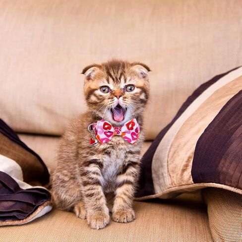 2pcs Valentine's Day Cat Collar, Red and Pink Cat Collar Breakaway Buckle with Bells Bow Tie, Love Heart Safety Adjustable Cat Collar for Kitten Puppy in Saudi Arabia