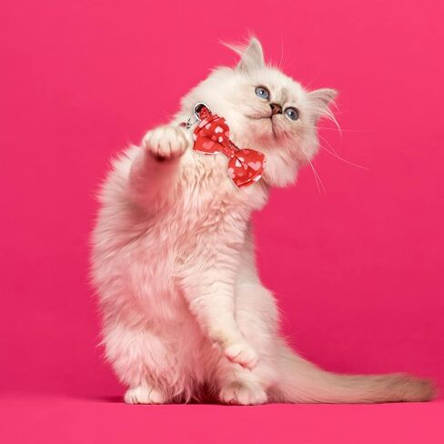 2pcs Valentine's Day Cat Collar, Red and Pink Cat Collar Breakaway Buckle with Bells Bow Tie, Love Heart Safety Adjustable Cat Collar for Kitten Puppy in Saudi Arabia