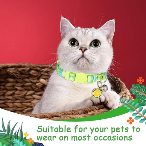 12 Pieces Breakaway Cats Collar with Bell and Summer Fruit Patterns Pendants, Safety Adjustable Collar Set for Pets Decoration (Medium) in Saudi Arabia