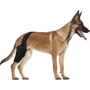 bodreamz Dog Knee Armor: Enhanced Recovery & Support for Torn ACL, Luxating Cruciate Ligament - Medium Size | Leg Brace with Neoprene Fabric | Joint Pain Relief & Rehab in Saudi Arabia
