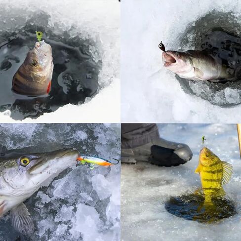 Bombite 38 قطعة من أدوات صيد الأسماك على الجليد مجموعة طُعم صيد الأسماك المتوهجة على الجليد ورؤوس صيد الكرابي وصيد الأسماك في الشتاء مع صندوق أدوات in Kuwait