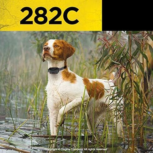 Dogtra 282c Ultra-Compact Two Dog Training Collar - Bark Collar for Large Dog, Dog Shock Collar, 1/2 Mile Range, E-Collar with Remote, 127-Level Static Stimulation, Vibration, LCD Screen, Rechargeable in Saudi Arabia