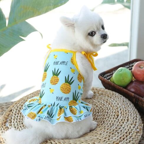 Harikaji Pet Clothes,Lovely Summer Fruit Dog T-Shirt Puppy Clothes Dog Skirt Dress Cats Clothes for Small Dogs Cats Puppy (M-Back Length 30cm, Pineapple Skirt) in Saudi Arabia
