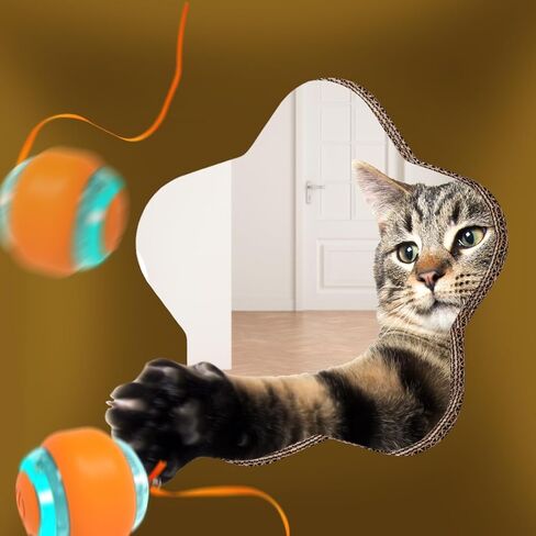 لعبة صندوق الألغاز التفاعلية من بينتوبال للقطط، متاهة ترفيهية مع كرة كهربائية للقطط تتدحرج بمفردها، زنبرك وكرة بومبوم in Kuwait