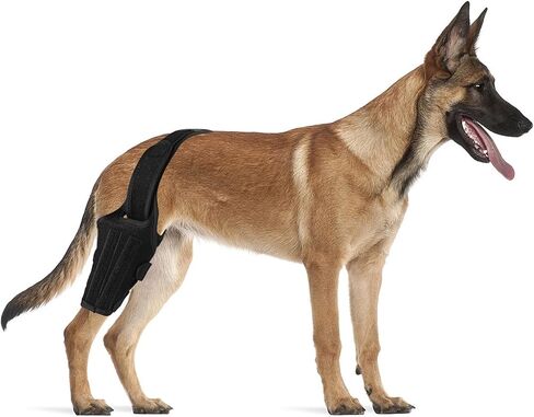 bodreamz Dog Knee Armor: Enhanced Recovery & Support for Torn ACL, Luxating Cruciate Ligament - Medium Size | Leg Brace with Neoprene Fabric | Joint Pain Relief & Rehab in Saudi Arabia
