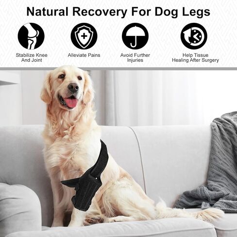 bodreamz Dog Knee Armor: Enhanced Recovery & Support for Torn ACL, Luxating Cruciate Ligament - Medium Size | Leg Brace with Neoprene Fabric | Joint Pain Relief & Rehab in Saudi Arabia