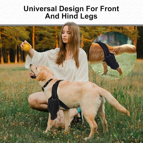 bodreamz Dog Knee Armor: Enhanced Recovery & Support for Torn ACL, Luxating Cruciate Ligament - Medium Size | Leg Brace with Neoprene Fabric | Joint Pain Relief & Rehab in Saudi Arabia