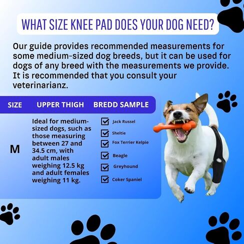 bodreamz Dog Knee Armor: Enhanced Recovery & Support for Torn ACL, Luxating Cruciate Ligament - Medium Size | Leg Brace with Neoprene Fabric | Joint Pain Relief & Rehab in Saudi Arabia