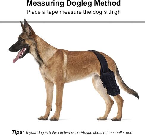 bodreamz Dog Knee Armor: Enhanced Recovery & Support for Torn ACL, Luxating Cruciate Ligament - Medium Size | Leg Brace with Neoprene Fabric | Joint Pain Relief & Rehab in Saudi Arabia