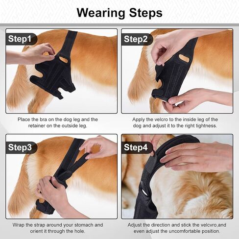 bodreamz Dog Knee Armor: Enhanced Recovery & Support for Torn ACL, Luxating Cruciate Ligament - Medium Size | Leg Brace with Neoprene Fabric | Joint Pain Relief & Rehab in Saudi Arabia