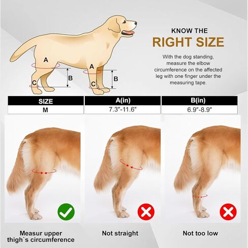 bodreamz Dog Knee Armor: Enhanced Recovery & Support for Torn ACL, Luxating Cruciate Ligament - Medium Size | Leg Brace with Neoprene Fabric | Joint Pain Relief & Rehab in Saudi Arabia