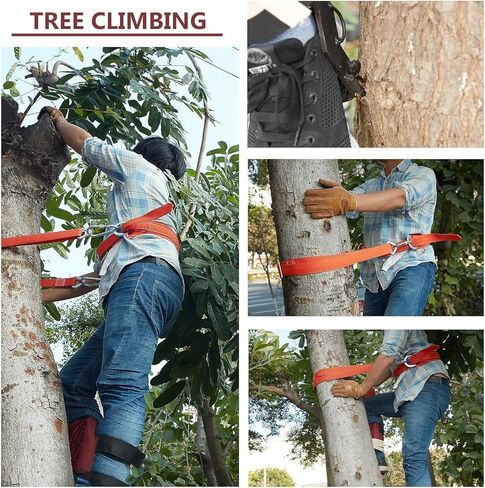 AMSOAN BJFASTLT Tree Climbing Spikes Non-Slip 2 Gear (with Safety Belt) Aluminum Pole Spurs Adjustable Spikes for Hunting Observation, Fruit Picking in Kuwait