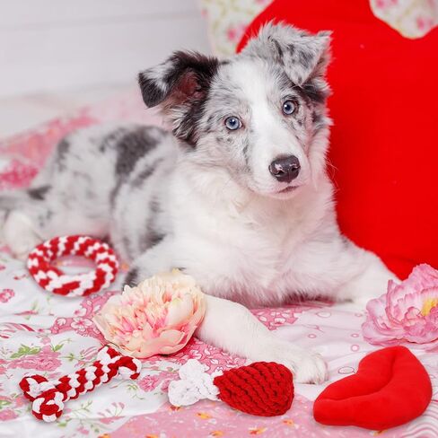 Whaline 8Pcs Valentine's Day Pet Toy Set Include Chewing Toys, Dog Bandana and Red Lip Squeak Toy Rose Red White Heart Candy Bone Shape Cotton Rope Chew Toys for Lover's Day Small Medium Dog Gifts in Kuwait