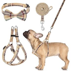BINGPET No Pull Dog Harness Leash Collar Set,Adjustable Step-in Vest,Medium in Kuwait