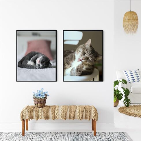 مجموعة إطارات ملصقات Abtgt مقاس 24 × 36 مكونة من 3 قطع، صور عرض 20 × 30 مع حصيرة أو 24 × 36 بدون حصيرة، إطار صورة لعرض التثبيت على الحائط، أسود in Saudi Arabia