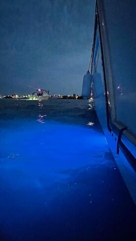 ساردين 60 واط ضوء RGB تحت الماء in Kuwait