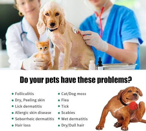 العناية ببشرة الحيوانات الأليفة، جوهر العناية بشعر الحيوانات الأليفة والشعر، العناية بشعر الكلاب، العناية بشعر القطط، العناية ببشرة القطط والكلاب، وملحق المعطف. (2 قطعة) in Kuwait