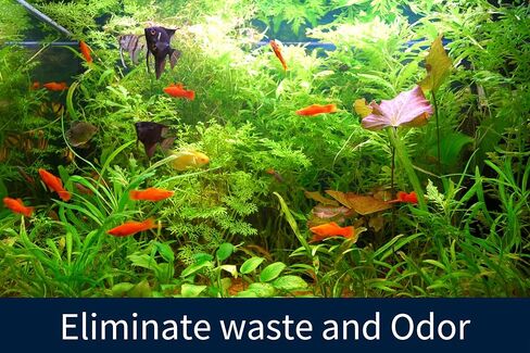 سنوت اند شيل منظف سائل لاحواض السمك - يحسن نقاء المياه بشكل طبيعي - يقلل من نفايات الاسماك وطعام الاسماك والروائح الكريهة واحواض الاسماك في المياه العذبة والمالحة - 16 اونصة in Kuwait