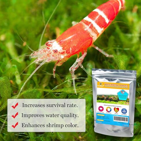 SunGrow White Mineral Powder, Calcium Enriched for Shrimp’s Stress-Free molting, Aids in Healthy & Active breeding, Improves Water Quality for Longevity, Imparts Color to Shrimps, 2 oz in Saudi Arabia