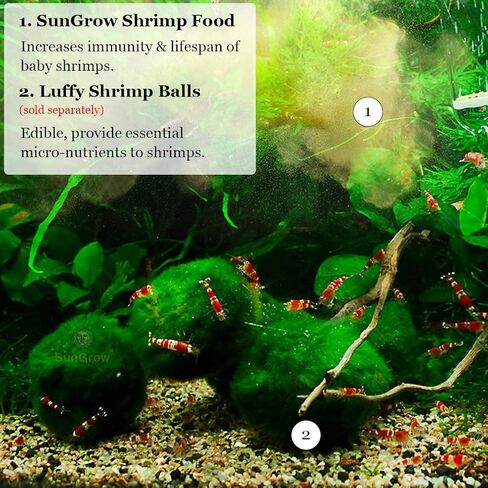 SunGrow White Mineral Powder, Calcium Enriched for Shrimp’s Stress-Free molting, Aids in Healthy & Active breeding, Improves Water Quality for Longevity, Imparts Color to Shrimps, 2 oz in Saudi Arabia