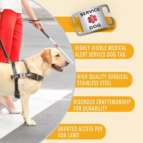 علامات خدمة الكلاب K9 من الفولاذ المقاوم للصدأ بدون ضوضاء من Leash King، تنزلق على طوق الكلب أو الحزام بسرعة وأمان - الفولاذ المقاوم للصدأ/صغير in Kuwait
