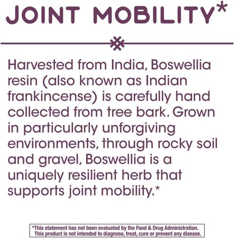 Nature's Way Standardized Boswellia, 40% Boswellic Acids per Serving, TRU-ID Certified, Vegetarian, 60 Tablets, Pack of 2 in Saudi Arabia
