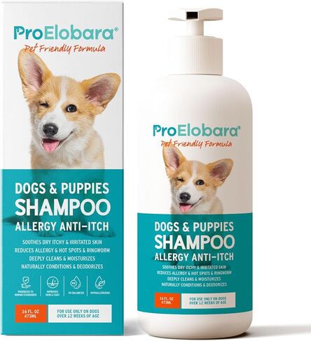 Dog Shampoo for Allergies and Itching: Dog Shampoo - Dog Shampoo for Smelly Dogs - Pet Shampoo for Dogs - Dog Allergy Shampoo - Shampoo for Dogs - Anti Itch Dog Shampoo - Dog Shampoo - 16.9fl.oz/500ml in Kuwait