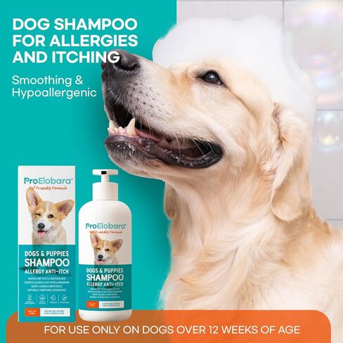 Dog Shampoo for Allergies and Itching: Dog Shampoo - Dog Shampoo for Smelly Dogs - Pet Shampoo for Dogs - Dog Allergy Shampoo - Shampoo for Dogs - Anti Itch Dog Shampoo - Dog Shampoo - 16.9fl.oz/500ml in Kuwait
