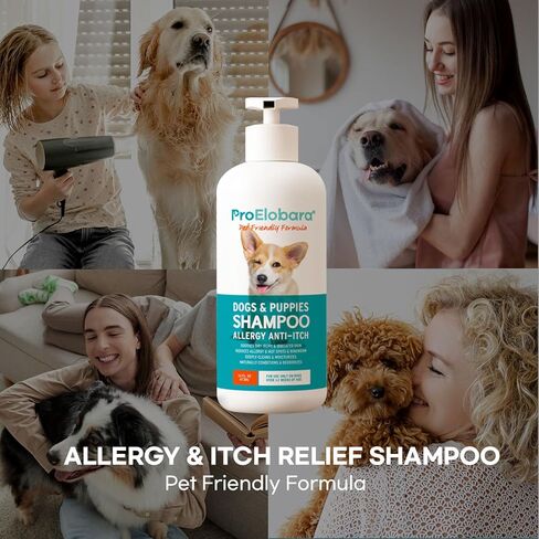 Dog Shampoo for Allergies and Itching: Dog Shampoo - Dog Shampoo for Smelly Dogs - Pet Shampoo for Dogs - Dog Allergy Shampoo - Shampoo for Dogs - Anti Itch Dog Shampoo - Dog Shampoo - 16.9fl.oz/500ml in Kuwait