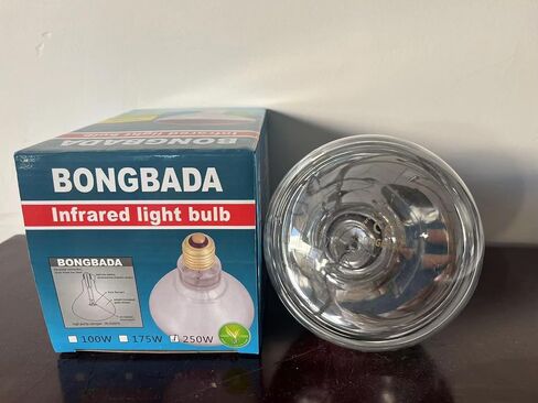 BONGBADA Heat Lamp Bulb R40 175 Watt 2 Pack Clear Infrared Glass Lamp Bulb for Food Service, Brooder Bulb, Chicks, Pet, Bathroom (Clear, R40/175W) in Saudi Arabia