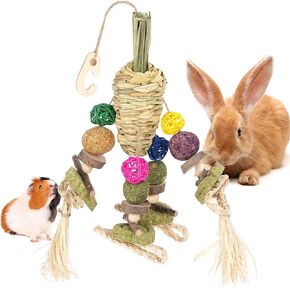 ألعاب مضغ الأرنب من YDFAZXY، ألعاب مضغ معلقة على شكل قفص أرنب، جزر منسوج طبيعي مع وجبات خفيفة لخنازير غينيا، الهامستر، فئران شنشيل، الجربوع وغيرها من ألعاب طحن أسنان الحيوانات الأليفة الصغيرة in Kuwait