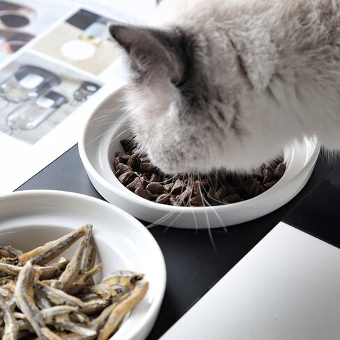 وعاء طعام بطيء من السيراميك من XINSZLIN، وعاء طعام بطيء مرتفع للقطط، أوعية مرتفعة للقطط، بدون انزلاق/انقلاب، طبق طعام أحجية مرتفع (وعاء وجه القطط) in Kuwait