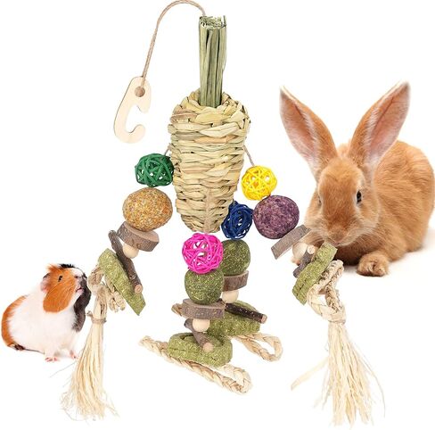 ألعاب مضغ الأرنب من YDFAZXY، ألعاب مضغ معلقة على شكل قفص أرنب، جزر منسوج طبيعي مع وجبات خفيفة لخنازير غينيا، الهامستر، فئران شنشيل، الجربوع وغيرها من ألعاب طحن أسنان الحيوانات الأليفة الصغيرة in Kuwait